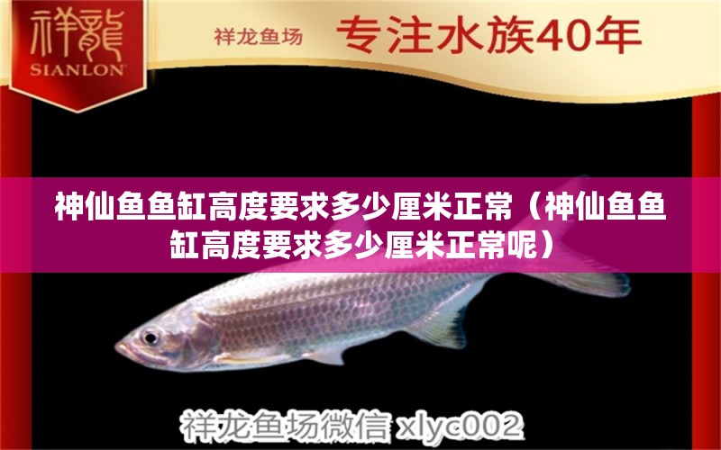 神仙魚魚缸高度要求多少厘米正常（神仙魚魚缸高度要求多少厘米正常呢）