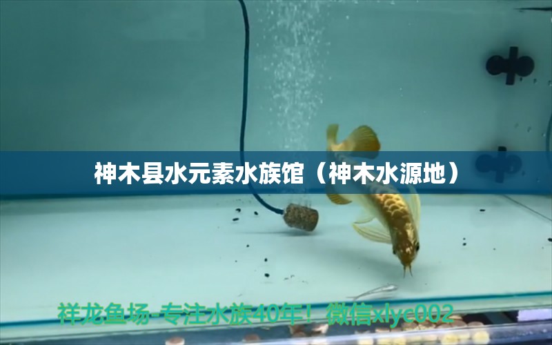 神木縣水元素水族館（神木水源地）