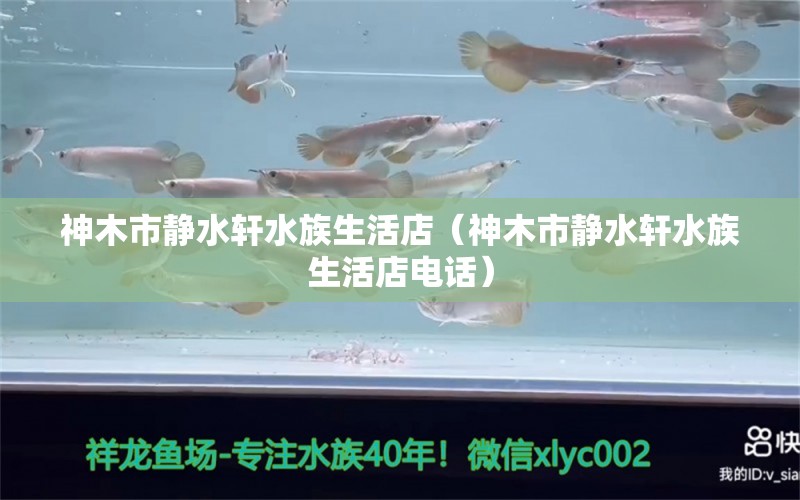 神木市靜水軒水族生活店（神木市靜水軒水族生活店電話） 全國(guó)水族館企業(yè)名錄