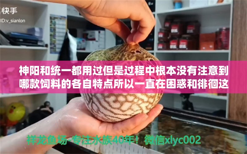 神陽和統(tǒng)一都用過但是過程中根本沒有注意到哪款飼料的各自特點所以一直在困惑和徘徊這兩款 羅漢魚