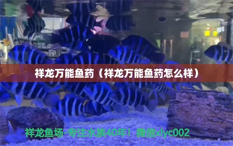 祥龍萬能魚藥（祥龍萬能魚藥怎么樣）