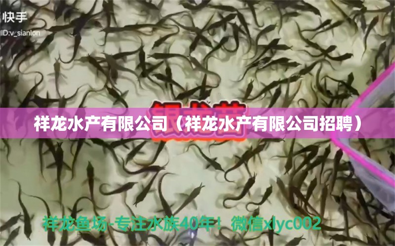 祥龍水產(chǎn)有限公司（祥龍水產(chǎn)有限公司招聘） 廣州龍魚批發(fā)市場