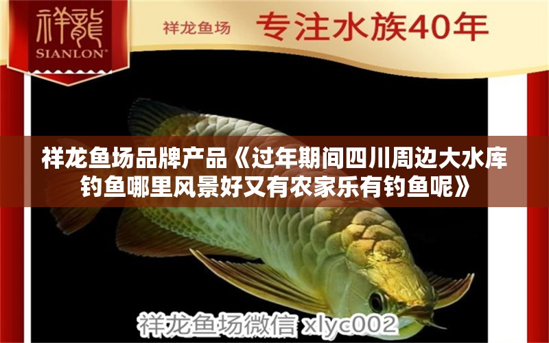 祥龍魚場品牌產品《過年期間四川周邊大水庫釣魚哪里風景好又有農家樂有釣魚呢》