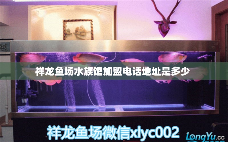 祥龍魚(yú)場(chǎng)水族館加盟電話地址是多少  祥龍魚(yú)場(chǎng)