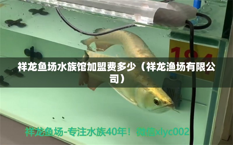 祥龍魚場(chǎng)水族館加盟費(fèi)多少（祥龍漁場(chǎng)有限公司） 祥龍魚場(chǎng)