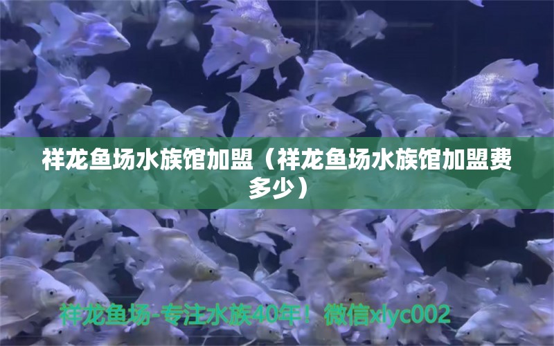 祥龍魚場(chǎng)水族館加盟（祥龍魚場(chǎng)水族館加盟費(fèi)多少）