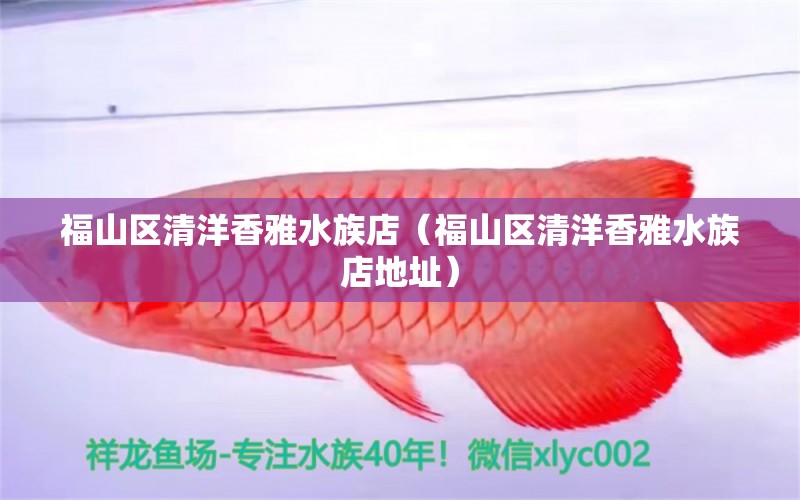 福山區(qū)清洋香雅水族店（福山區(qū)清洋香雅水族店地址）