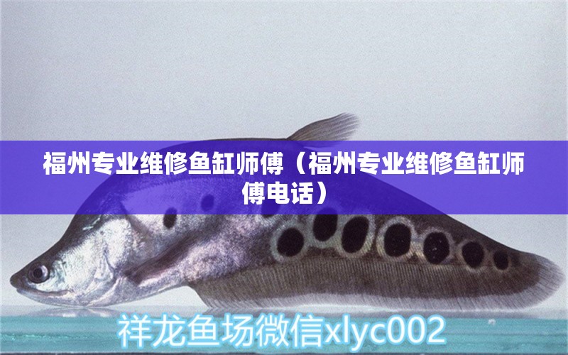 福州專業(yè)維修魚缸師傅（福州專業(yè)維修魚缸師傅電話） 其他品牌魚缸