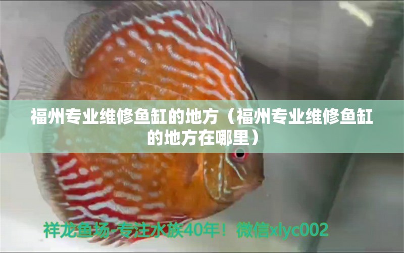 福州專業(yè)維修魚缸的地方（福州專業(yè)維修魚缸的地方在哪里） 其他品牌魚缸