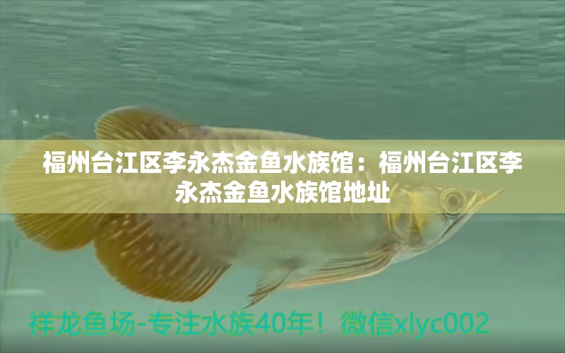 福州臺江區(qū)李永杰金魚水族館：福州臺江區(qū)李永杰金魚水族館地址