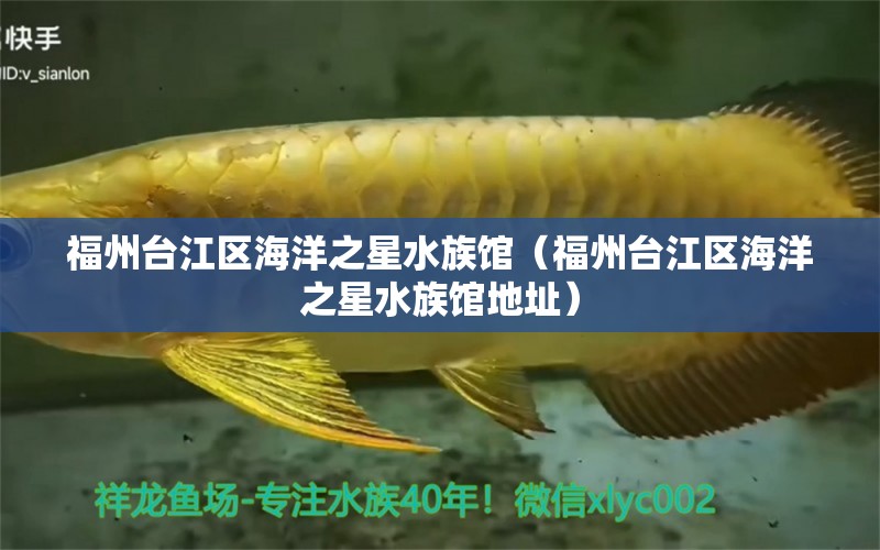 福州臺(tái)江區(qū)海洋之星水族館（福州臺(tái)江區(qū)海洋之星水族館地址） 全國(guó)水族館企業(yè)名錄