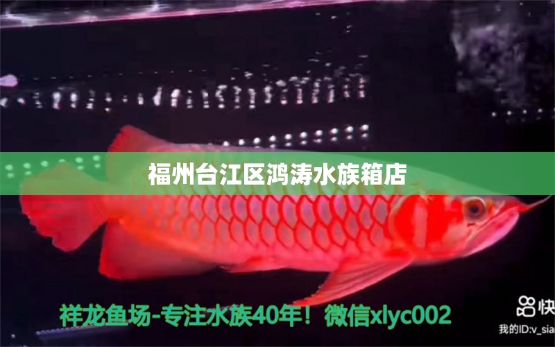 福州臺江區(qū)鴻濤水族箱店