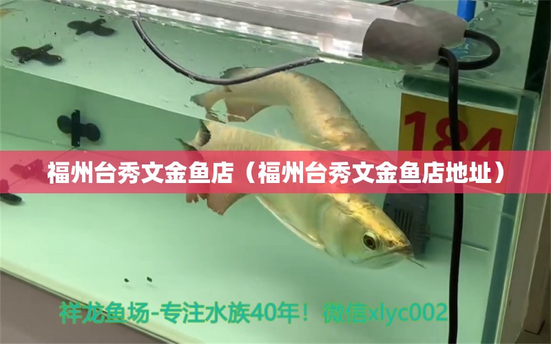 福州臺(tái)秀文金魚(yú)店（福州臺(tái)秀文金魚(yú)店地址）