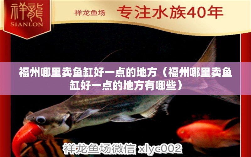 福州哪里賣(mài)魚(yú)缸好一點(diǎn)的地方（福州哪里賣(mài)魚(yú)缸好一點(diǎn)的地方有哪些）