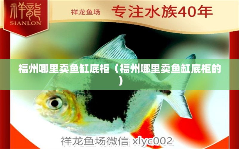 福州哪里賣魚缸底柜（福州哪里賣魚缸底柜的） 其他品牌魚缸