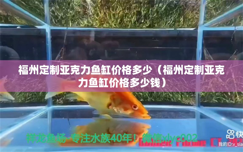 福州定制亞克力魚缸價格多少（福州定制亞克力魚缸價格多少錢）