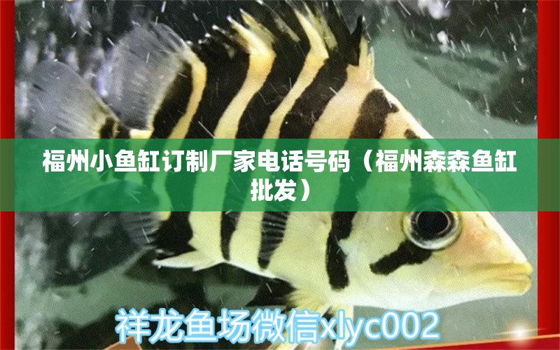 福州小魚缸訂制廠家電話號碼（福州森森魚缸批發(fā)） 國產(chǎn)元寶鳳凰魚