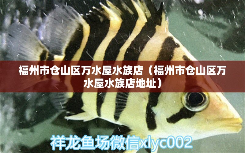 福州市倉(cāng)山區(qū)萬(wàn)水屋水族店（福州市倉(cāng)山區(qū)萬(wàn)水屋水族店地址）