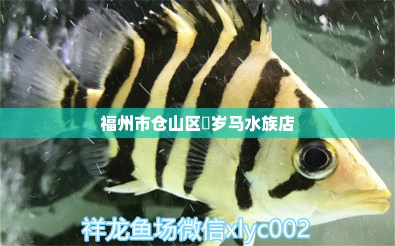 福州市倉山區(qū)畬歲馬水族店 全國水族館企業(yè)名錄