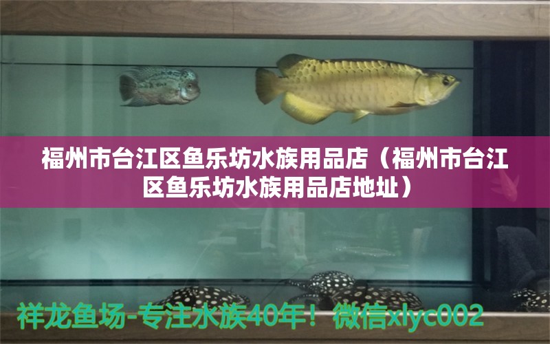 福州市臺江區(qū)魚樂坊水族用品店（福州市臺江區(qū)魚樂坊水族用品店地址） 水族用品