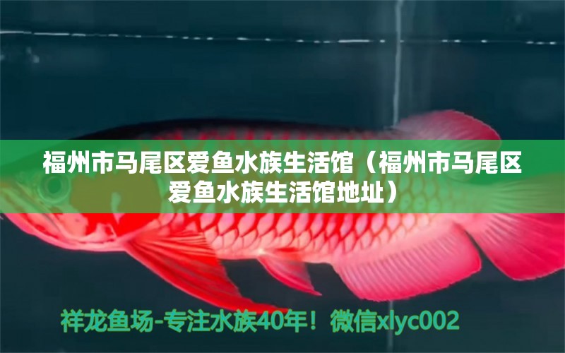 福州市馬尾區(qū)愛魚水族生活館（福州市馬尾區(qū)愛魚水族生活館地址）