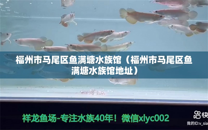 福州市馬尾區(qū)魚滿塘水族館（福州市馬尾區(qū)魚滿塘水族館地址） 全國水族館企業(yè)名錄