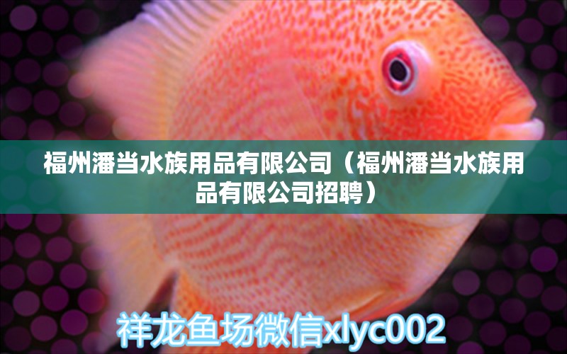 福州潘當(dāng)水族用品有限公司（福州潘當(dāng)水族用品有限公司招聘） 水族用品