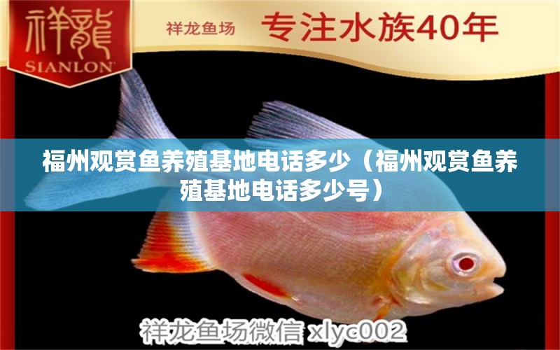 福州觀賞魚養(yǎng)殖基地電話多少（福州觀賞魚養(yǎng)殖基地電話多少號(hào)）