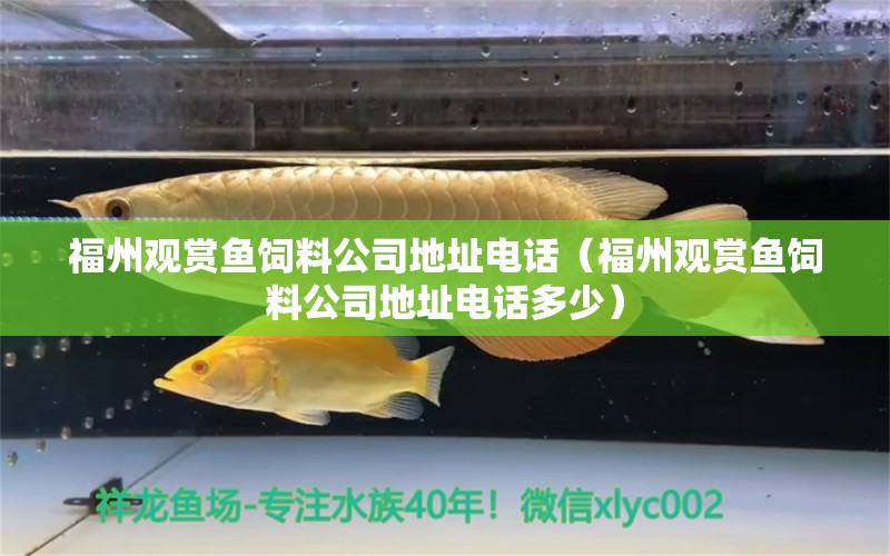 福州觀賞魚飼料公司地址電話（福州觀賞魚飼料公司地址電話多少） 魚缸水泵