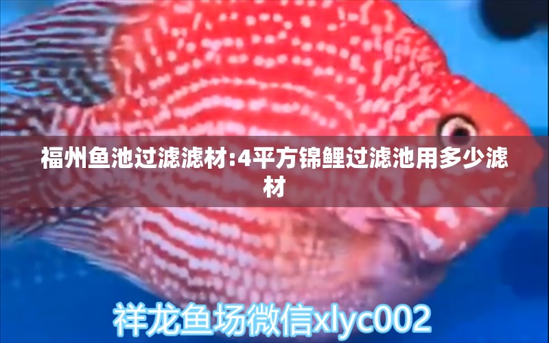 福州魚池過濾濾材:4平方錦鯉過濾池用多少濾材 廣州水族器材濾材批發(fā)市場