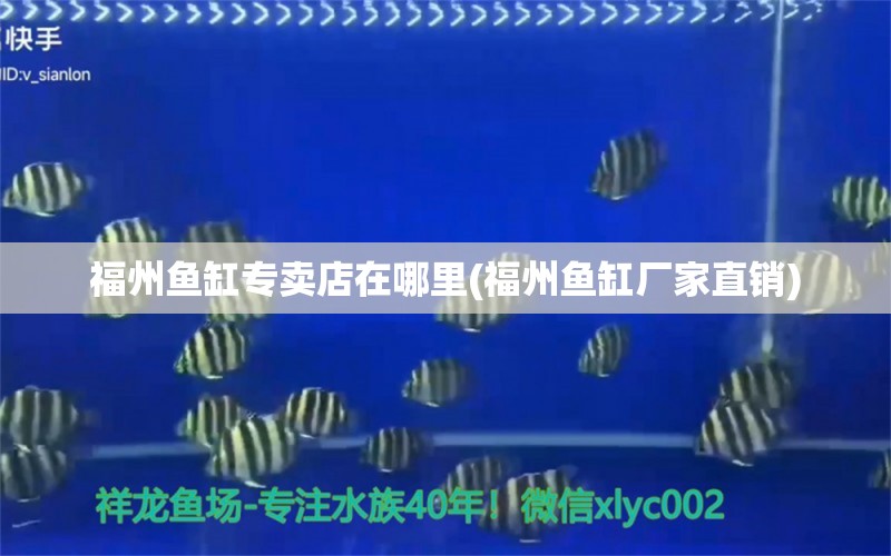 福州魚(yú)缸專賣(mài)店在哪里(福州魚(yú)缸廠家直銷(xiāo))