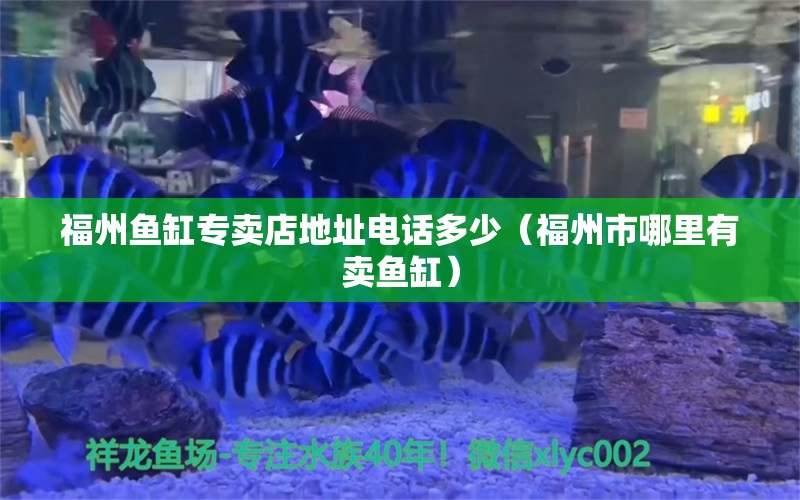 福州魚缸專賣店地址電話多少（福州市哪里有賣魚缸）