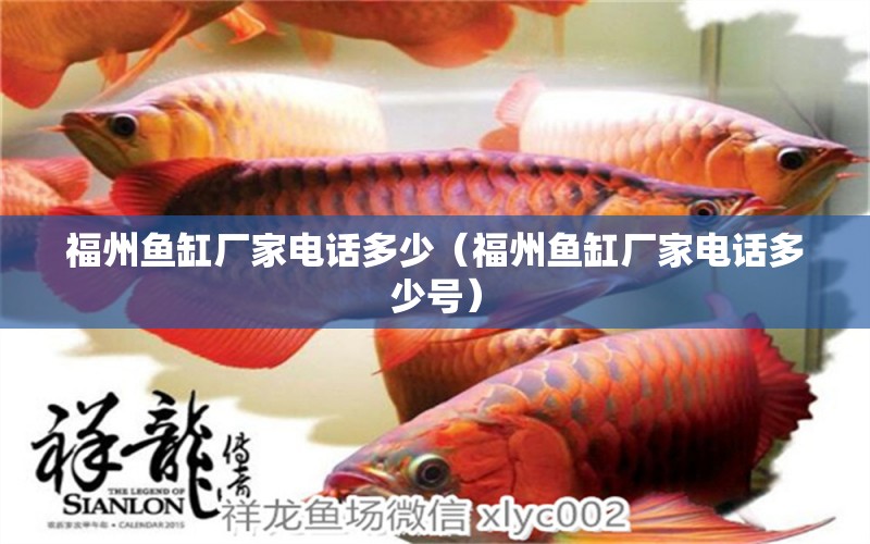 福州魚(yú)缸廠家電話多少（福州魚(yú)缸廠家電話多少號(hào)）