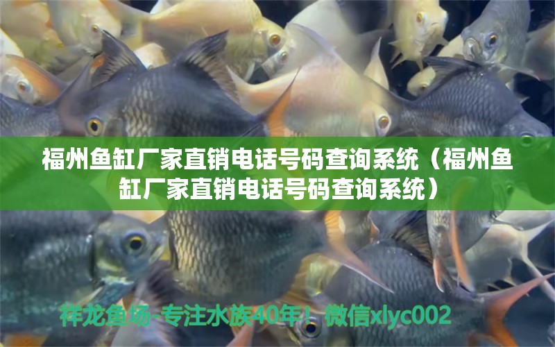 福州魚(yú)缸廠家直銷(xiāo)電話號(hào)碼查詢系統(tǒng)（福州魚(yú)缸廠家直銷(xiāo)電話號(hào)碼查詢系統(tǒng)） 祥龍水族醫(yī)院