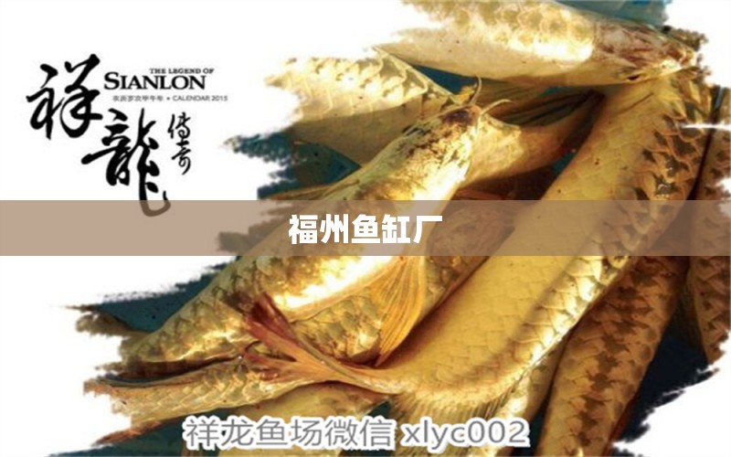 福州魚缸廠