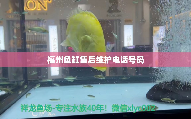 福州魚缸售后維護電話號碼 其他品牌魚缸