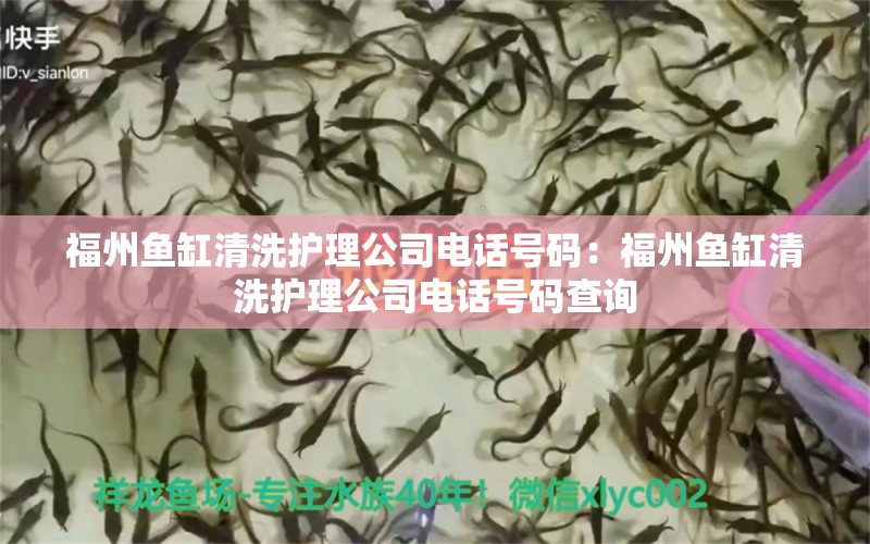 福州魚缸清洗護理公司電話號碼：福州魚缸清洗護理公司電話號碼查詢