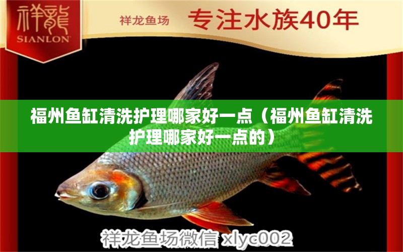 福州魚缸清洗護理哪家好一點（福州魚缸清洗護理哪家好一點的）