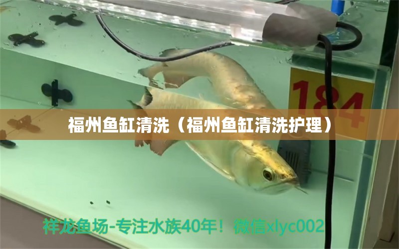 福州魚缸清洗（福州魚缸清洗護理）