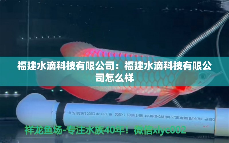 福建水滴科技有限公司：福建水滴科技有限公司怎么樣 全國水族館企業(yè)名錄