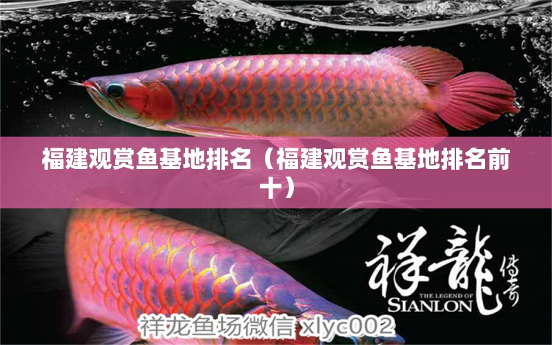 福建觀賞魚基地排名（福建觀賞魚基地排名前十）