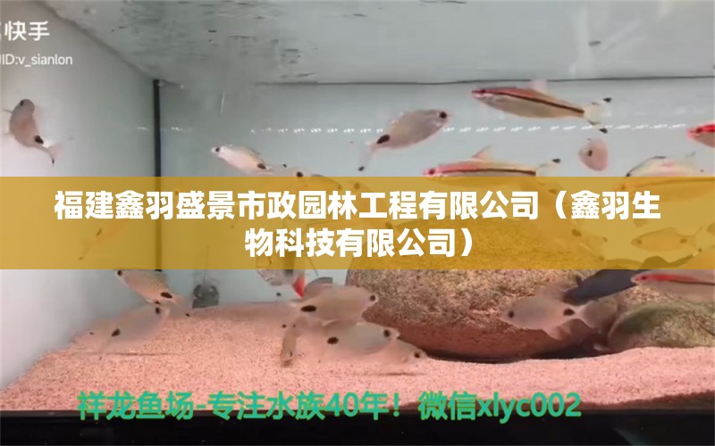 福建鑫羽盛景市政園林工程有限公司（鑫羽生物科技有限公司） 全國(guó)水族館企業(yè)名錄