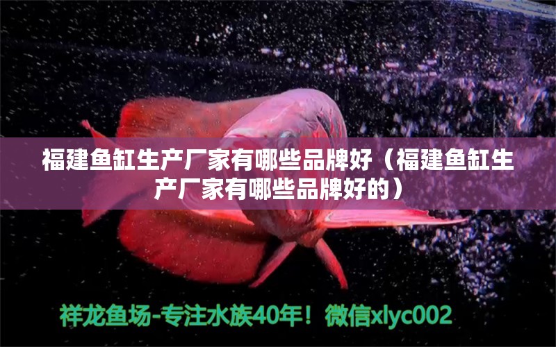 福建魚缸生產廠家有哪些品牌好（福建魚缸生產廠家有哪些品牌好的）