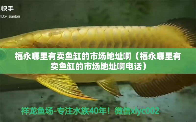 福永哪里有賣魚(yú)缸的市場(chǎng)地址?。ǜＳ滥睦镉匈u魚(yú)缸的市場(chǎng)地址啊電話） 大湖紅龍魚(yú)