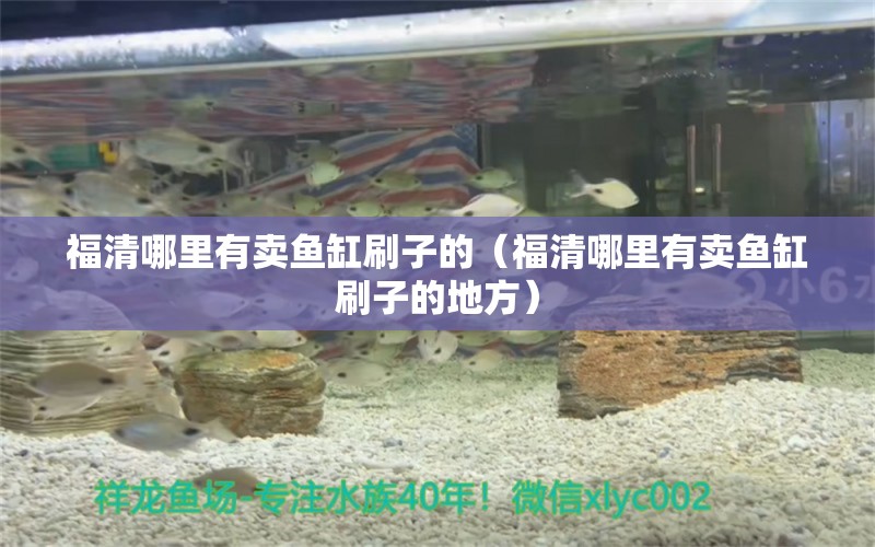 福清哪里有賣魚缸刷子的（福清哪里有賣魚缸刷子的地方）