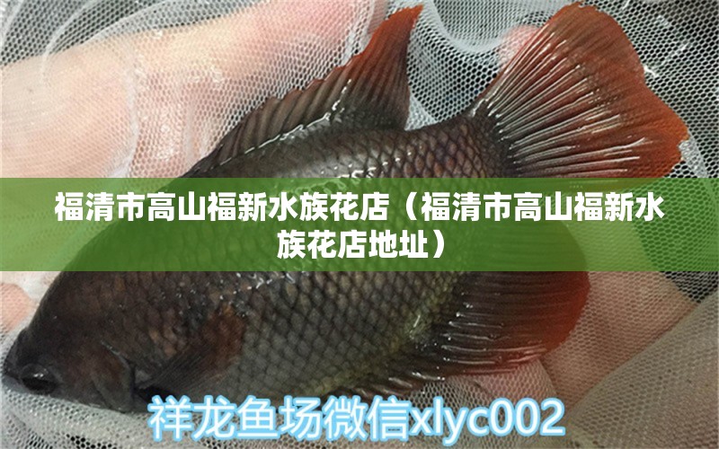 福清市高山福新水族花店（福清市高山福新水族花店地址）