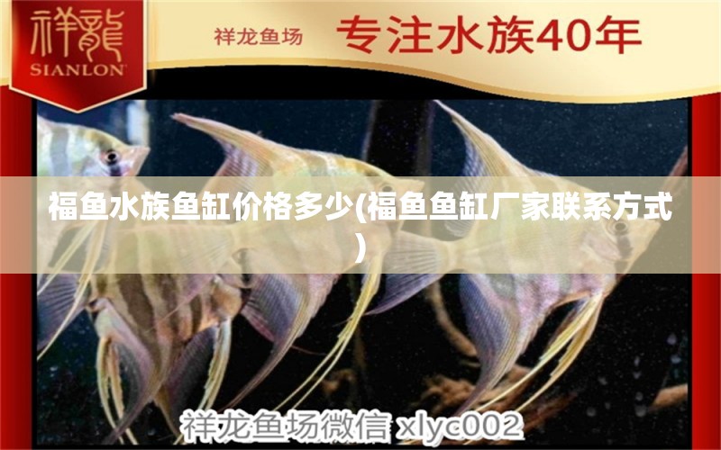 福魚水族魚缸價格多少(福魚魚缸廠家聯(lián)系方式) 養(yǎng)魚知識