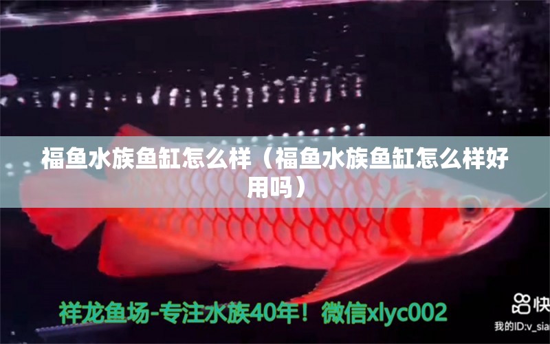 福魚(yú)水族魚(yú)缸怎么樣（福魚(yú)水族魚(yú)缸怎么樣好用嗎） 祥龍水族醫(yī)院