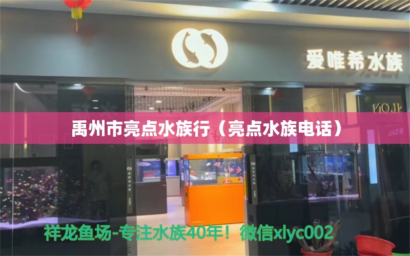 禹州市亮點水族行（亮點水族電話） 全國水族館企業(yè)名錄