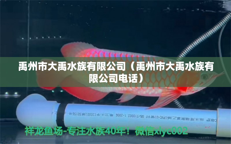 禹州市大禹水族有限公司（禹州市大禹水族有限公司電話） 全國水族館企業(yè)名錄